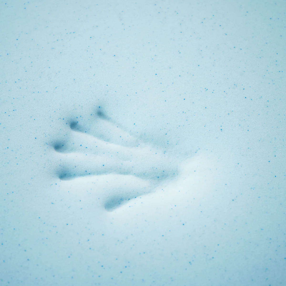 Oasis Gel Bundle - Image 13